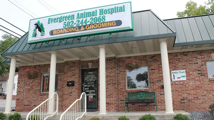 Evergreen Animal Hospital Picture 7