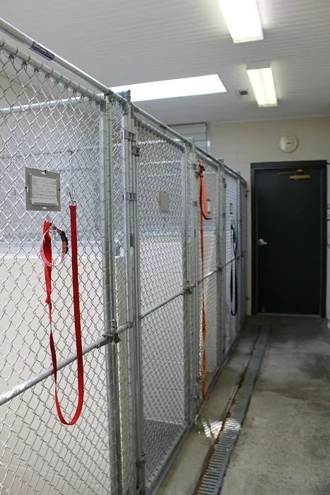 Evergreen Animal Hospital Picture 9