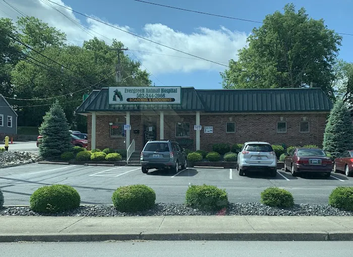 Evergreen Animal Hospital Picture 2