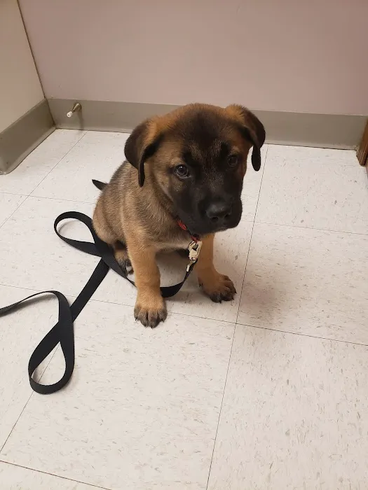 Evergreen Animal Hospital Picture 1