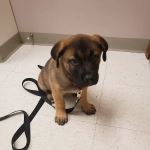 Evergreen Animal Hospital