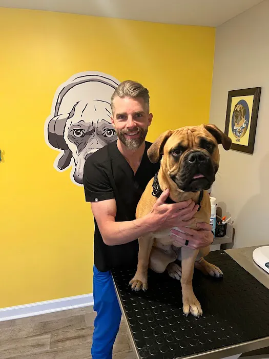 Livewell Animal Hospital of Anchorage Picture 6