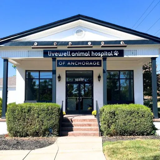 Livewell Animal Hospital of Anchorage Picture 3