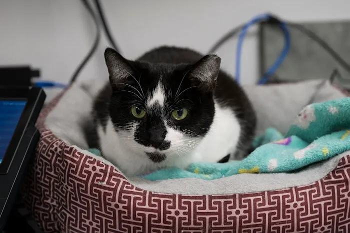 Livewell Animal Hospital of Anchorage Picture 1