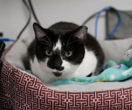 Livewell Animal Hospital of Anchorage