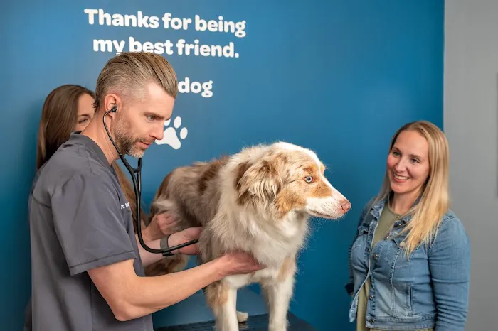 Livewell Animal Hospital of Anchorage Picture 9