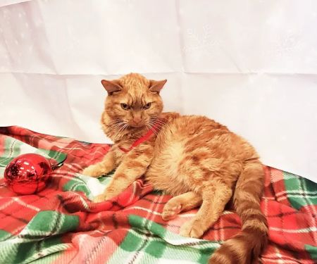 PetVet365 Pet Hospital Louisville/Anchorage
