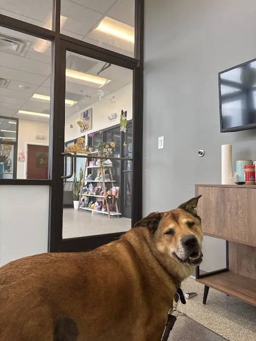 PetVet365 Pet Hospital Louisville/Anchorage Picture 4