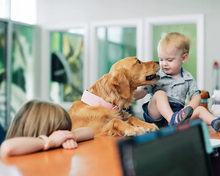 PetVet365 Pet Hospital Louisville/Anchorage Picture 10