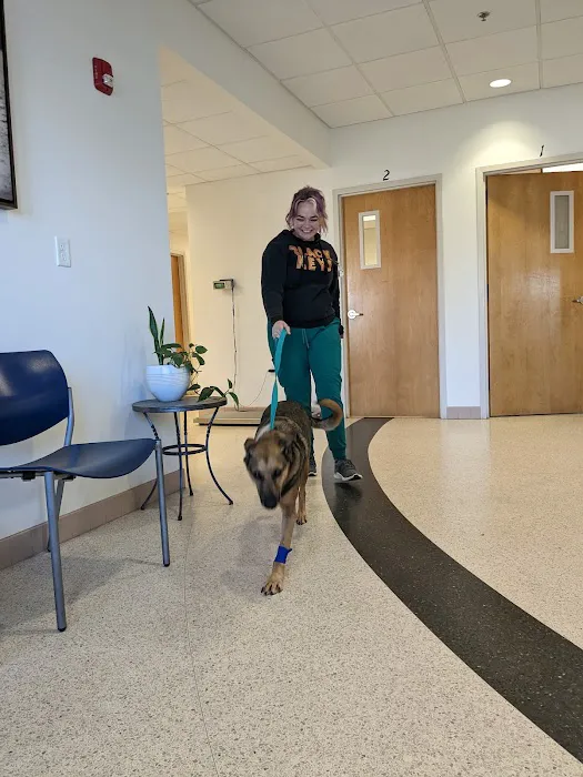 Metropolitan Veterinary Specialists and Emergency Service Picture 6