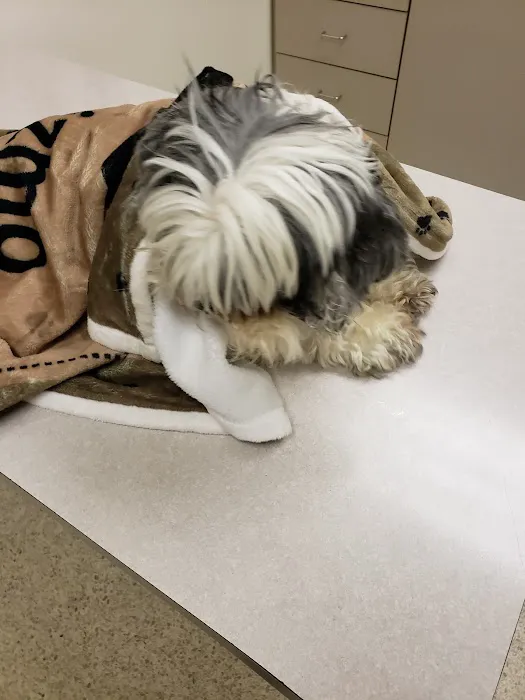 Metropolitan Veterinary Specialists and Emergency Service Picture 3