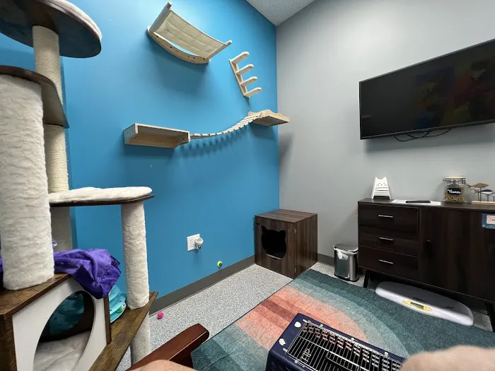 PetVet365 Pet Hospital Louisville/Blankenbaker Picture 8