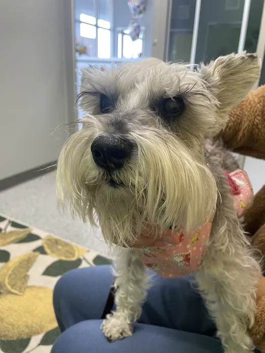 PetVet365 Pet Hospital Louisville/Blankenbaker Picture 4