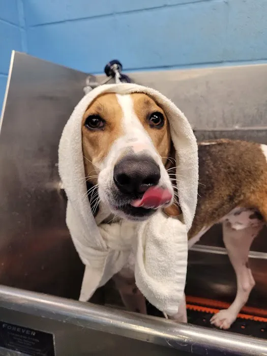 Hopewell Animal Hospital Picture 9