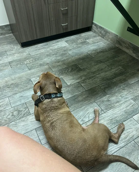 Hopewell Animal Hospital Picture 2
