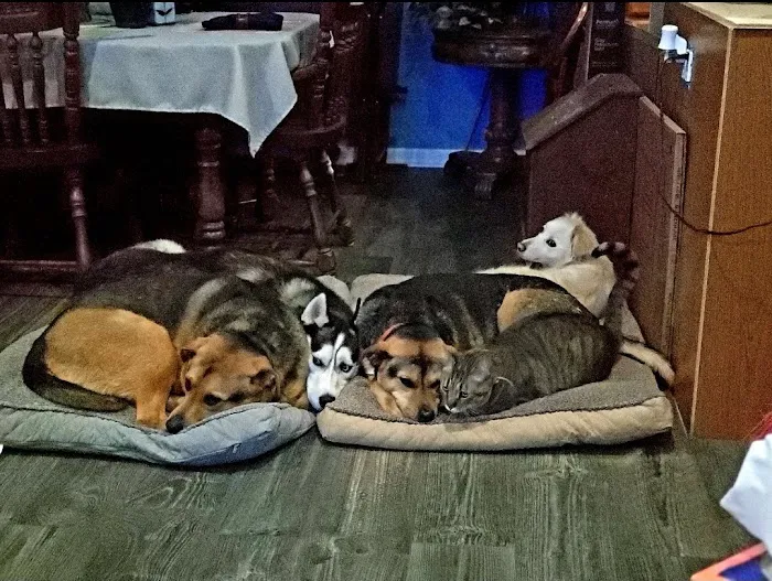 Hopewell Animal Hospital Picture 6
