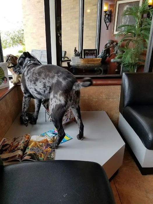 Jefferson Animal Hospital Fern Creek Picture 9