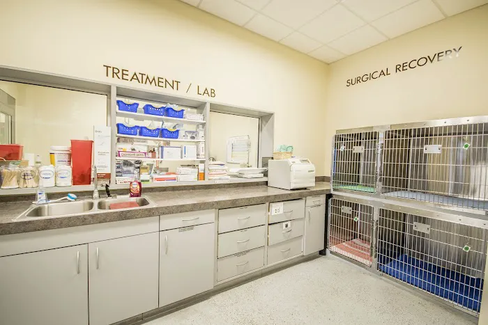 Jefferson Animal Hospital Fern Creek Picture 2