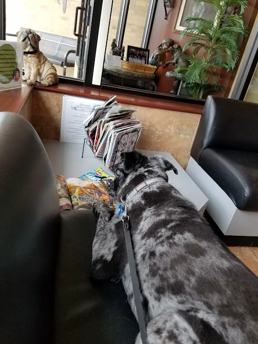 Jefferson Animal Hospital Fern Creek Picture 8