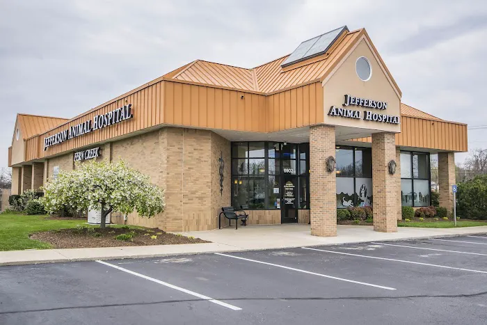 Jefferson Animal Hospital Fern Creek Picture 5