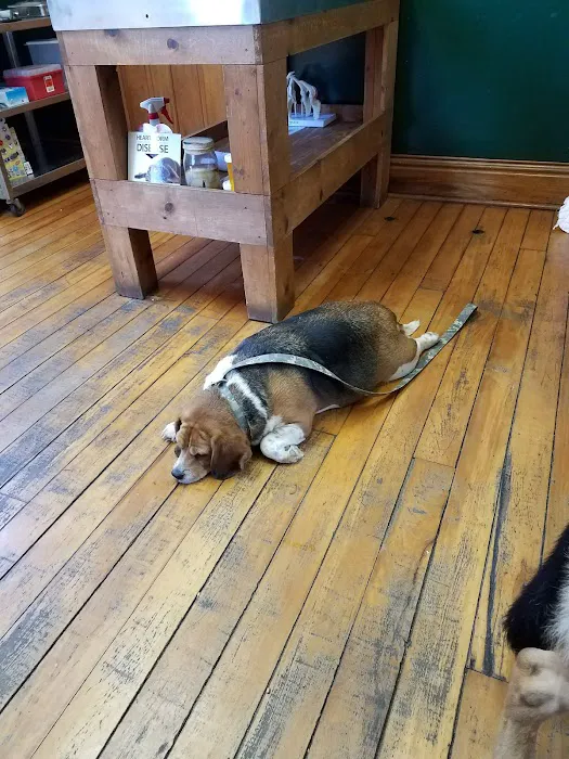 Georgetown Veterinary Clinic Picture 4