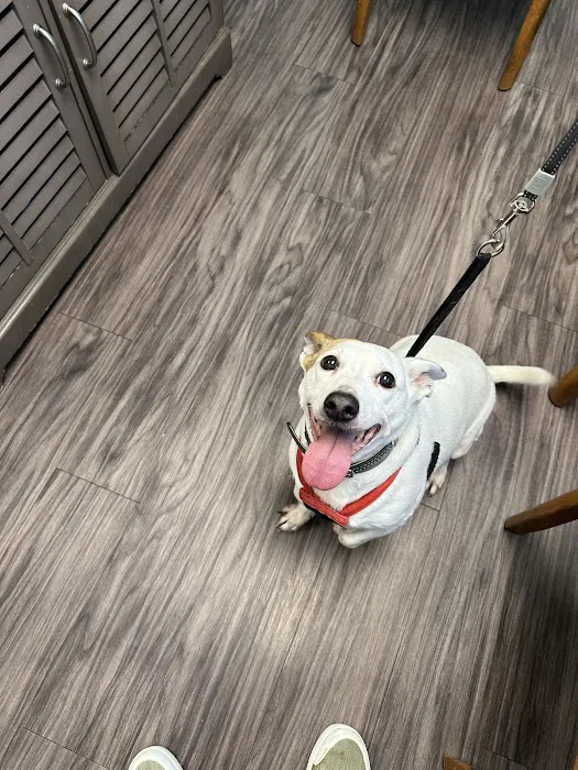 Unleashed Veterinary Care Picture 4