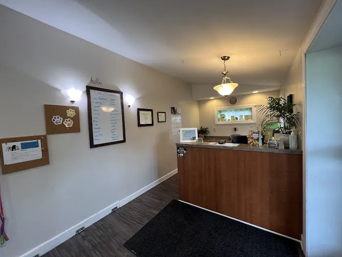Unleashed Veterinary Care Picture 2