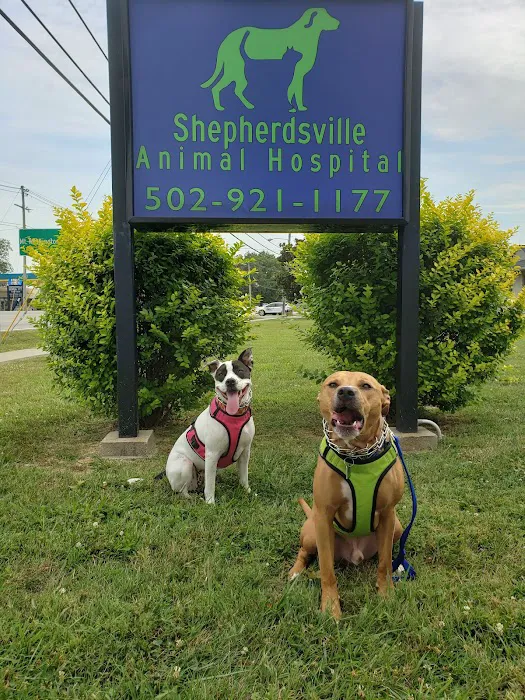 Shepherdsville Animal Hospital Picture 2