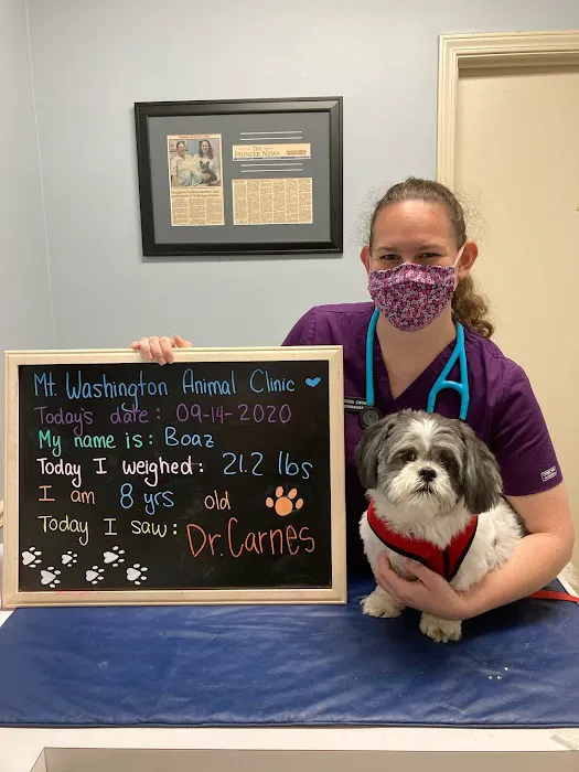 Mt. Washington Animal Clinic Picture 2