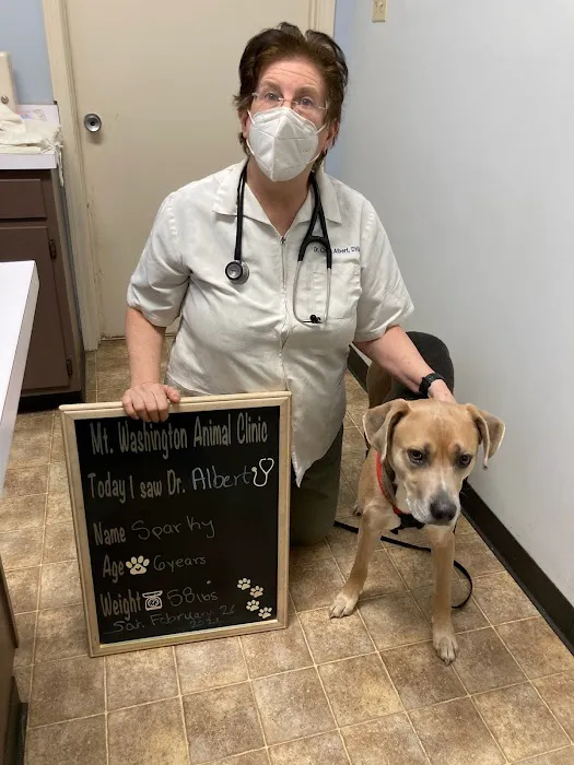 Mt. Washington Animal Clinic Picture 10