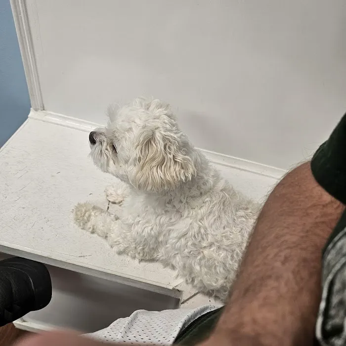 East Bullitt Animal Clinic Picture 2