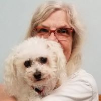 Stellhorn Veterinary Hospital ico