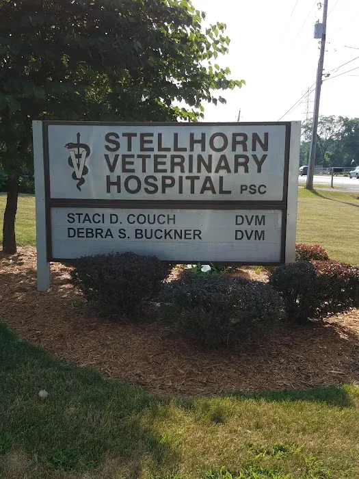 Stellhorn Veterinary Hospital Picture 4
