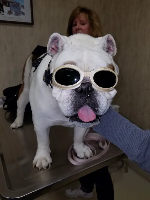 Stellhorn Veterinary Hospital Picture 8