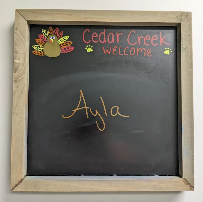 Cedar Creek Veterinary Clinic Picture 8