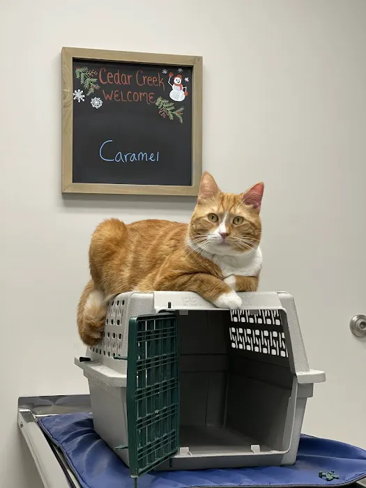 Cedar Creek Veterinary Clinic Picture 1