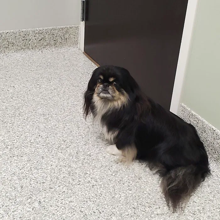 Cedar Creek Veterinary Clinic Picture 6