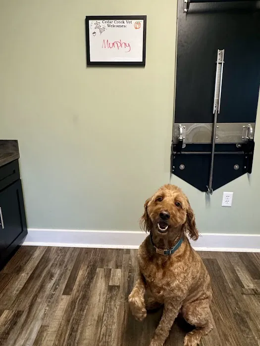 Cedar Creek Veterinary Clinic Picture 9