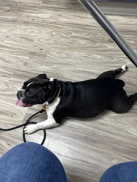 New Haven Pet Hospital Picture 10