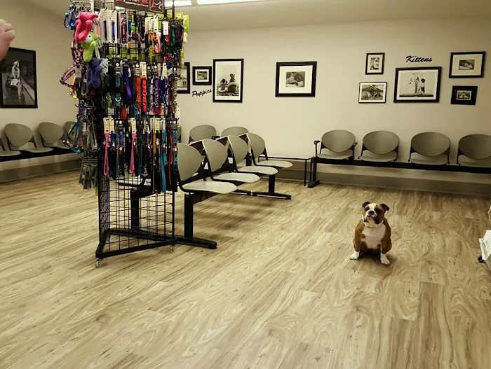 New Haven Pet Hospital Picture 3