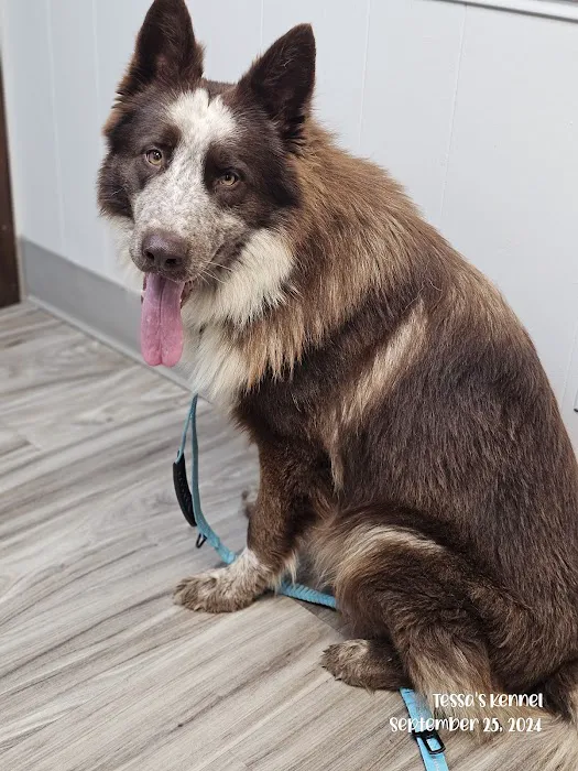 New Haven Pet Hospital Picture 9