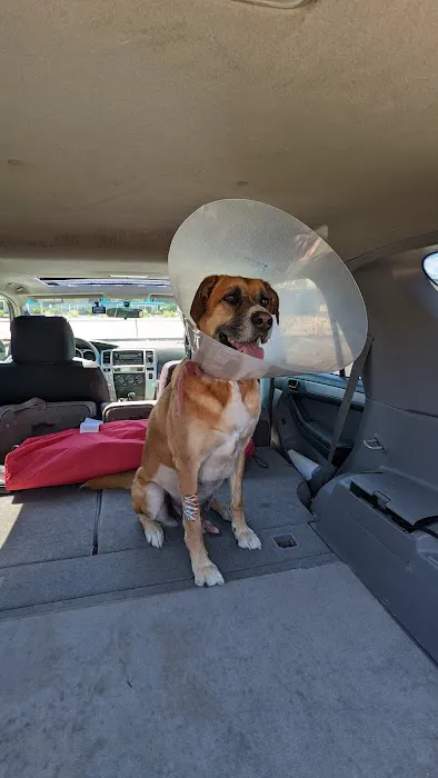 East State Veterinary Clinic: Dziak Kelly J DVM Picture 1