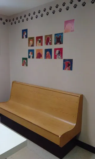 East State Veterinary Clinic Picture 6