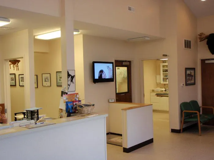 Fountain City Veterinary Hospital Picture 3