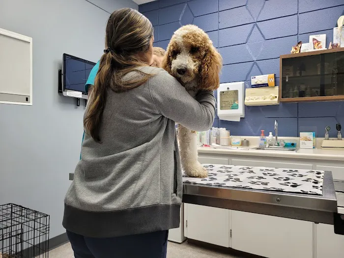 Fountain City Veterinary Hospital Picture 4