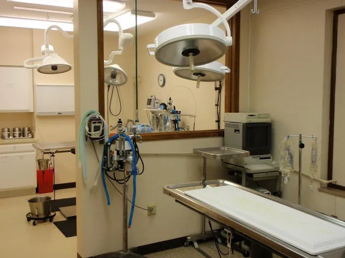 Fountain City Veterinary Hospital Picture 2