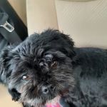 Archbold Animal Hospital