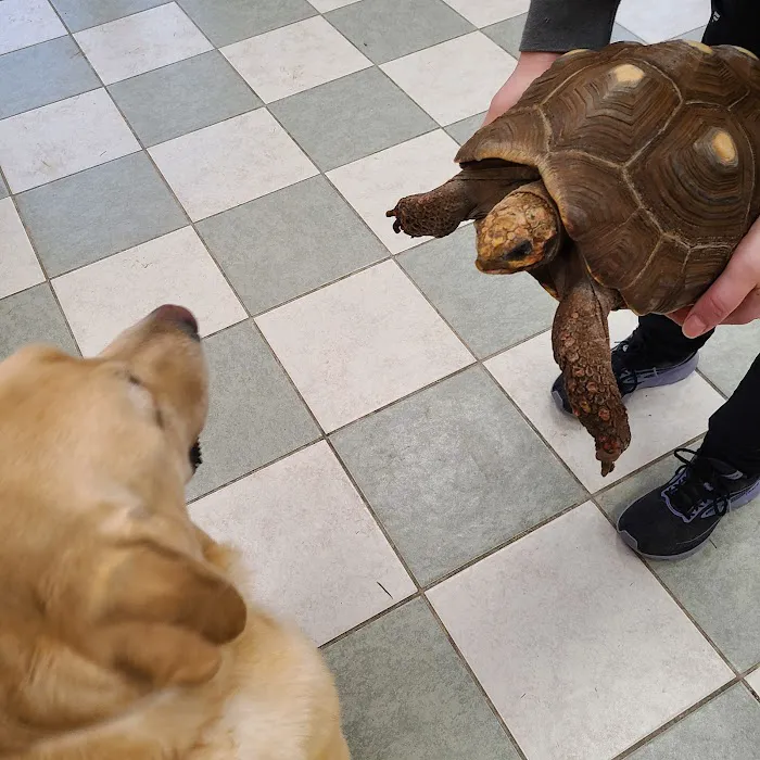 Napoleon Veterinary Clinic Inc Picture 5