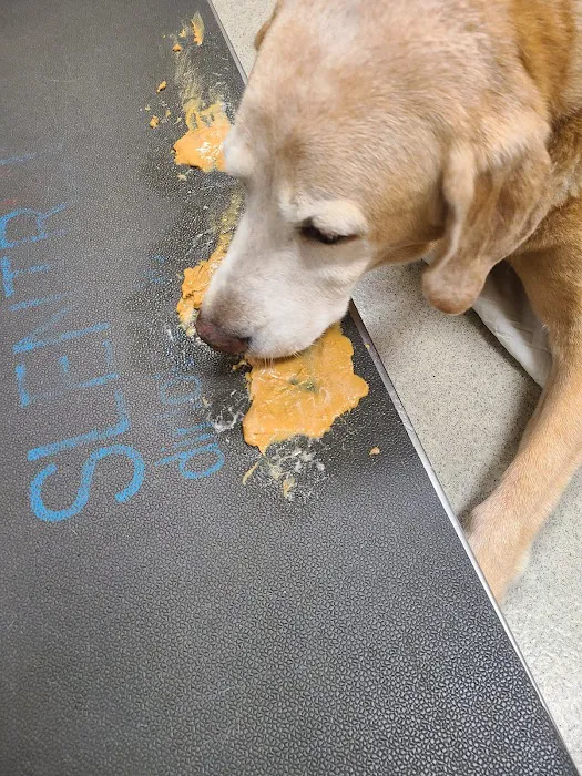 Napoleon Veterinary Clinic Inc Picture 2