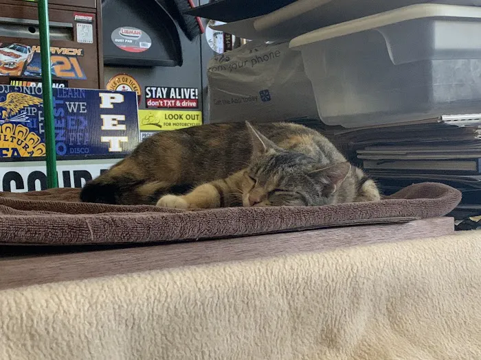 Bryan Area Animal Hospital Picture 6